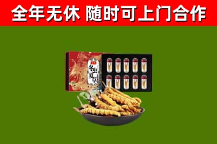 塔什库尔干回收冬虫夏草价格