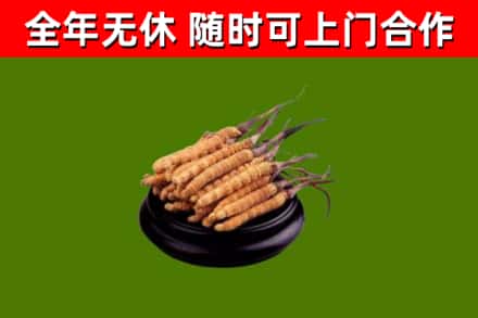 塔什库尔干烟酒回收冬虫夏草.jpg